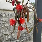 Trullo Donna Caterina * Ceglie Messapica