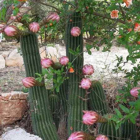 Gæstehus Trullo Donna Caterina
