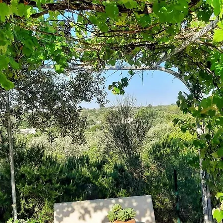Trullo Donna Caterina