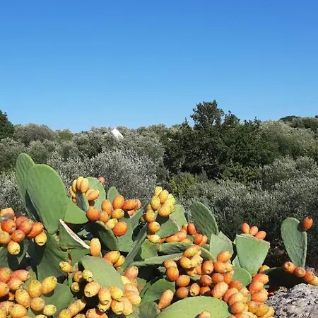 Trullo Donna Caterina Gæstehus Ceglie Messapica